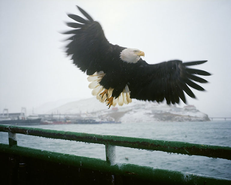 Ψάρεμα Bering Sea