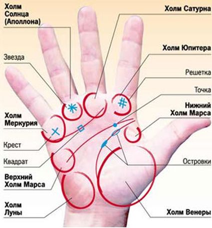 Τι σημαίνουν οι γραμμές στην παλάμη;